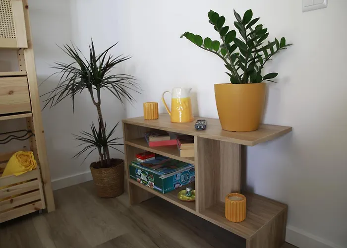 Apartament Edificio Xavier Nazaré